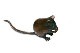 La souris grise
A la Porte de Vanves, il y avait une friche où j’observais la petite faune urbaine. Un jour, une souris peu farouche sort d’une touffe d’herbe. En cherchant sa pitance, elle est venue presque à mes pieds.
Paris, le 24 octobre 2011 / © Sculpture : Tsunéhiko Kuwabara Photographie : Jean-Baptiste Lardenois