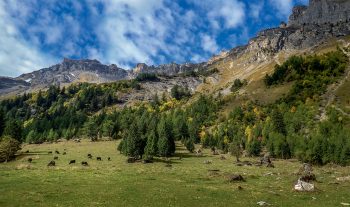 Le cirque rocheux au fond du vallon de Nant Le cirque rocheux au fond du vallon de Nant