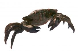 Le crabe vert
Voilà un habitant de la côte rocheuse, très commun et facile à observer. Afin d’étudier le détail de sa morphologie, je me suis permis de le capturer et l’ai placé dans un récipient en acrylique. Après l’avoir dessiné sous tous les angles, je l’ai relâché.
Concarneau (29), le 22 septembre 2005 / © Sculpture : Tsunéhiko Kuwabara Photographie : Jean-Baptiste Lardenois