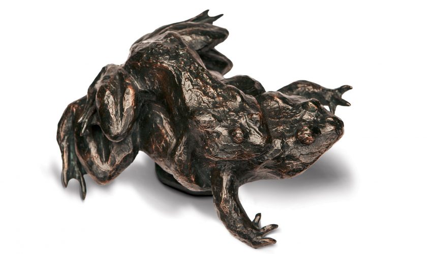 Les sculptures animales en bronze de Tsunéhiko Kuwabara - La Salamandre