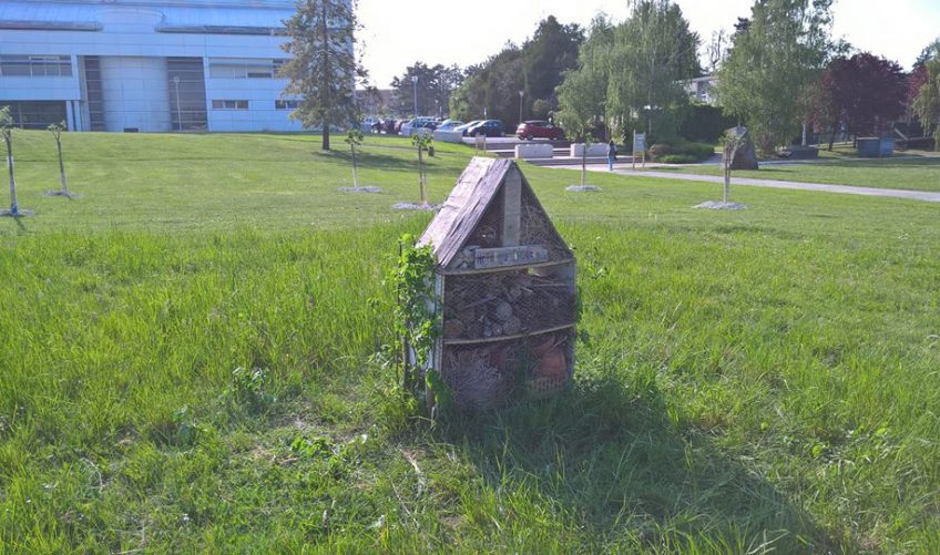 Le campus de la faculté des sciences de Reims se met au vert ! - La Salamandre