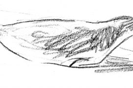 © Tsunéhiko Kuwabara
