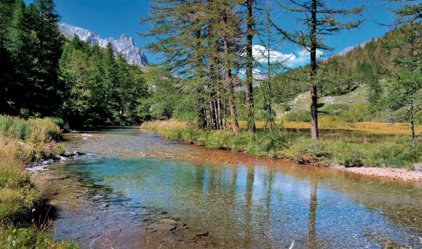 Balade dans les alpages de la vallée de la Clarée - La Salamandre