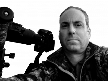 Le lièvre variable en photo en pelage d'été par Bertrand Gabbud - La Salamandre