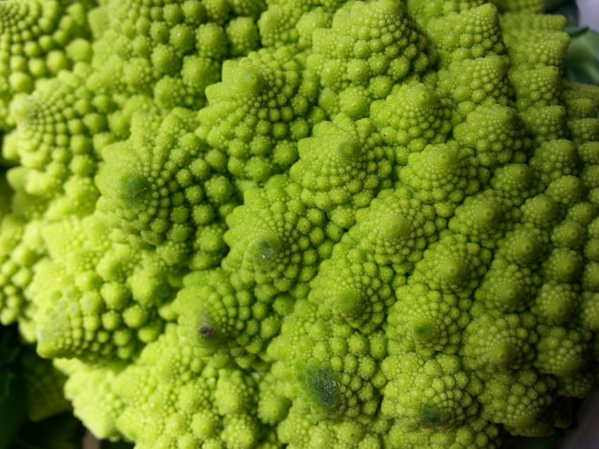 chou romanesco fractales