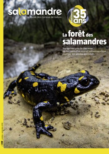 Couverture de La Salamandre n°248
