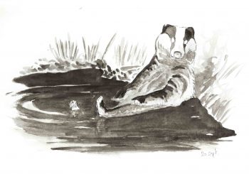 Dessin inspiré de la vidéo du piège-photo. Dessin inspiré de la vidéo du piège-photo.