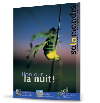 Les couvertures les plus marquantes de la revue La SalamandreLes couvertures les plus marqua