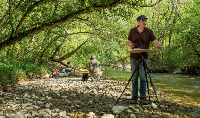 Carnet de la résidence d'artistes de la forêt des salamandres