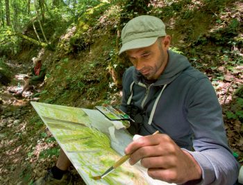 Carnet de la résidence d'artistes de la forêt des salamandres
