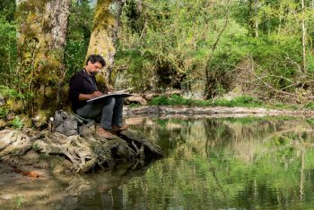 Carnet de la résidence d'artistes de la forêt des salamandres