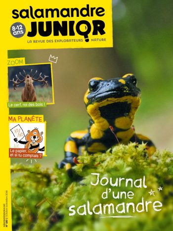 Couverture de La Salamandre Junior n°120