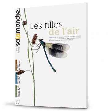 Les couvertures les plus marquantes de la revue La SalamandreLes couvertures les plus marqua