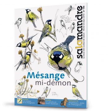 Les couvertures les plus marquantes de la revue La SalamandreLes couvertures les plus marqua