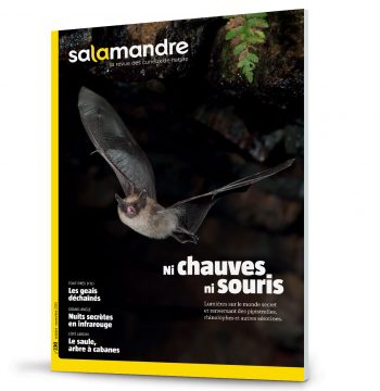 Les couvertures les plus marquantes de la revue La SalamandreLes couvertures les plus marqua