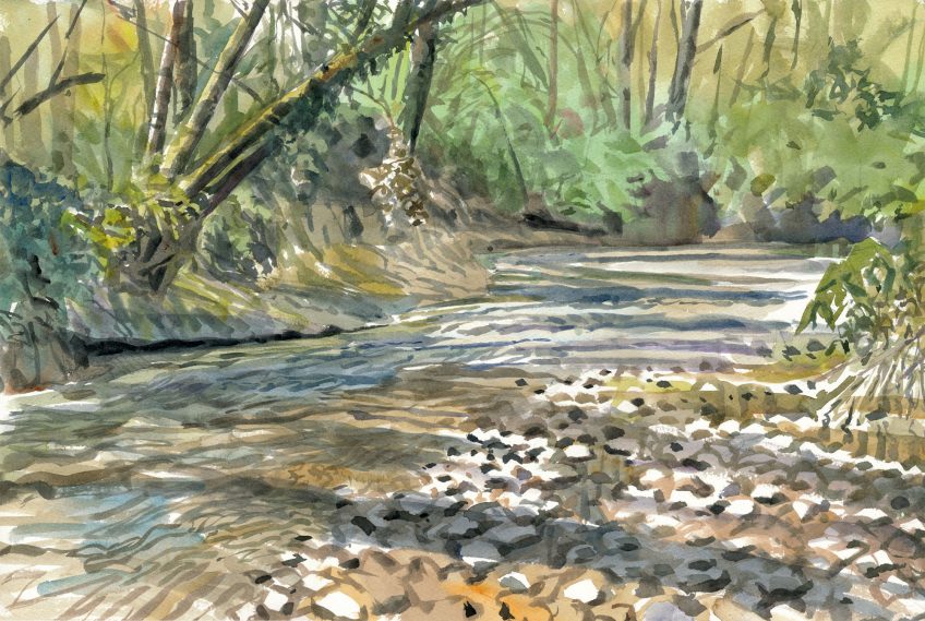 Les peintures des artistes naturalistes de la forêt des salamandres Sylvain Leparoux