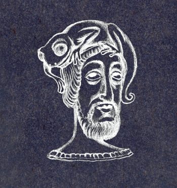 Découvrez les légendes autour de la salamandre tachetée