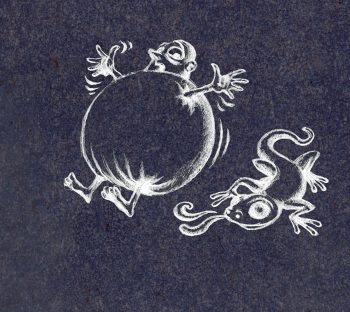 Découvrez les légendes autour de la salamandre tachetée