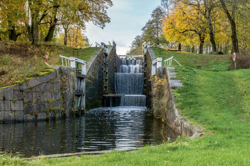 Les différentes causes de la disparition de la salamandre tachetée la disparition des milieux aquatiques