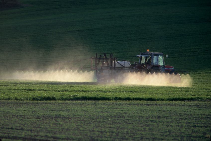 Les différentes causes de la disparition de la salamandre tachetée les pesticides