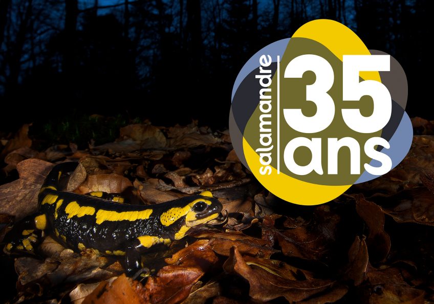 La Salamandre fête ses 35 ans !