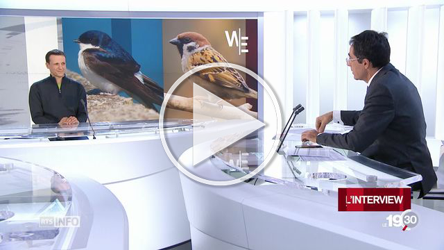 Julien Perrot dans le 19:30 de la RTS le 28.10.18