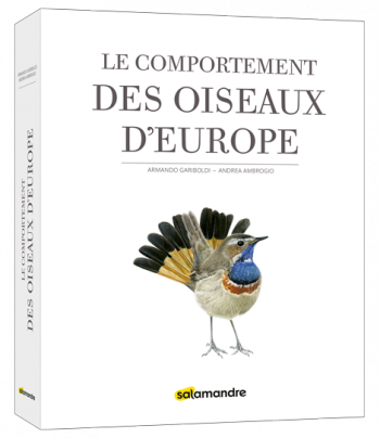 le comportement des oiseaux d'europe