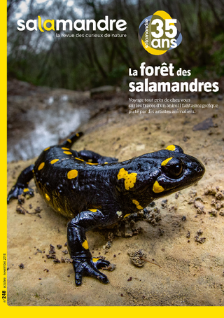 abonnement revue la salamandre
