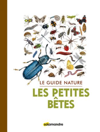 guide nature insectes