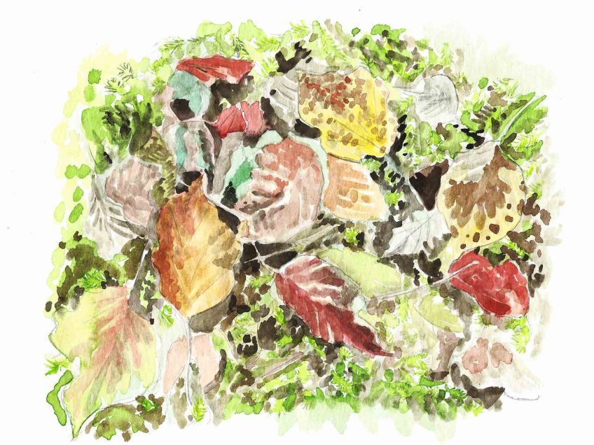 Novembre la couleur des temps sombres - La Salamandre