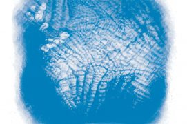 Cirrocumulus : s’il s’étend, une détérioration du temps est à prévoir / © Cécile Aquisti