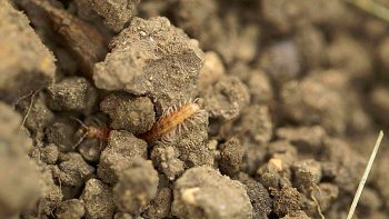 Dans la peau d’un réalisateur de films documentaires sur la nature