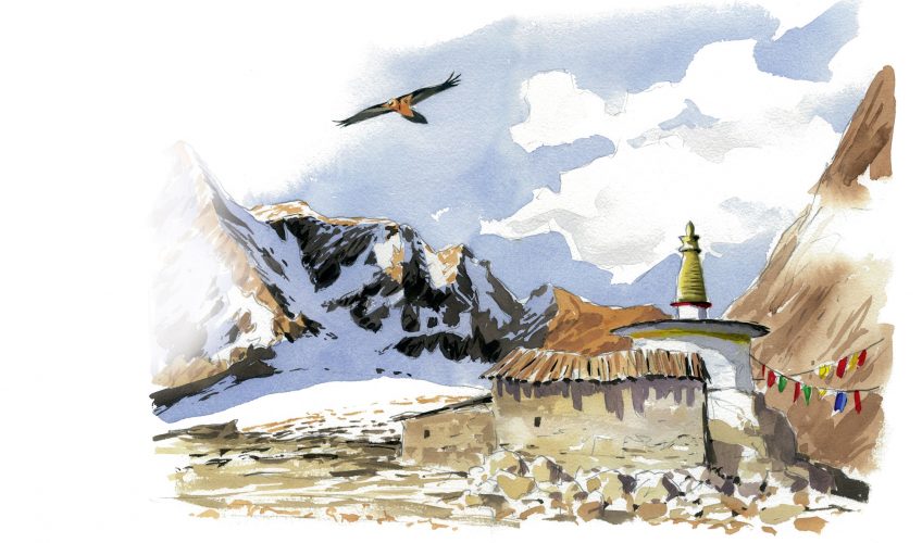 La carte de l'aire de répartition précise du gypaète barbu