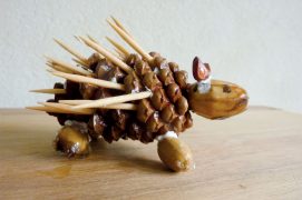 Dès l’arrivée de la pluie, guettez les écailles qui se referment et couchent les aiguilles vers l’arrière. Le beau temps revient ? Elles s’ouvrent et les piquants se redressent.