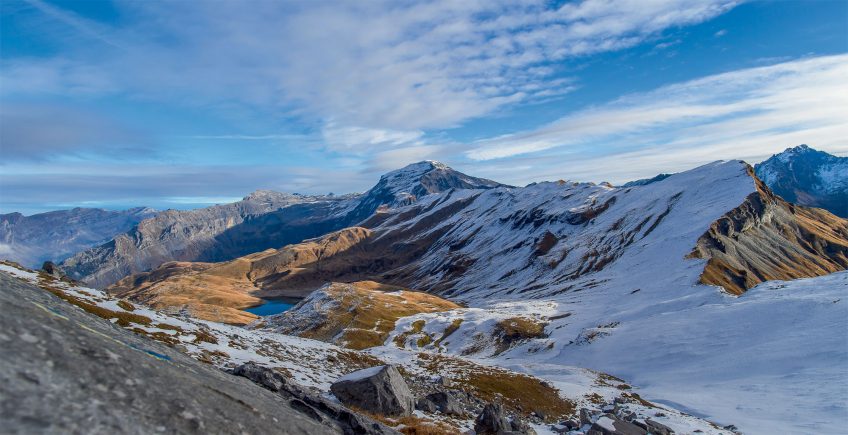 Naissance d'un premier gypaète barbu face au mont Blanc