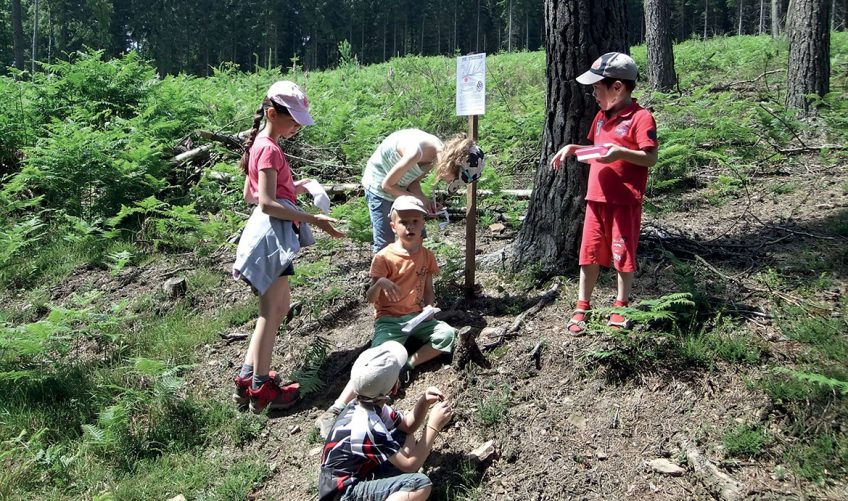 Comment faire connaître et aimer la nature au plus grand public ?
