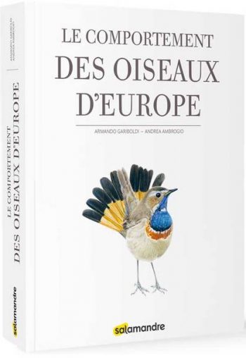 La grande aigrette, l'oiseau qui a faillir disparaître, le récit de son retour en force