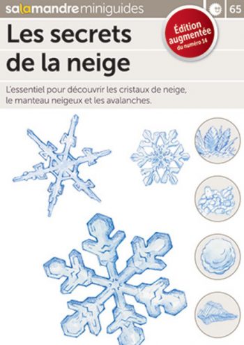 Comment lire la neige ? La réponse du nivologue Robert Bolognesi