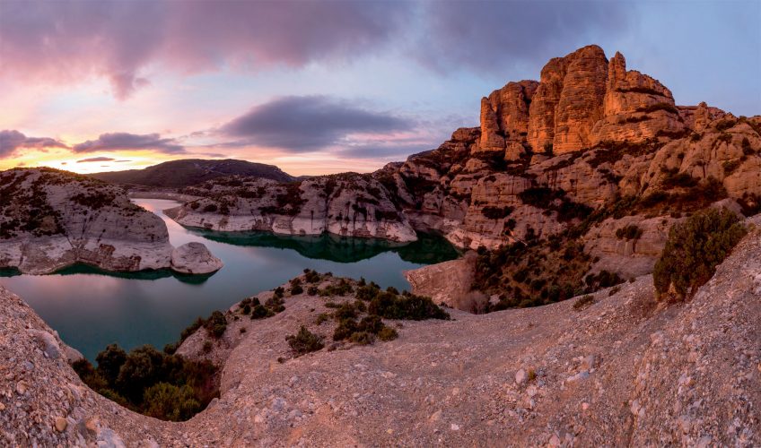 Les Pyrénées, un des derniers refuge du gypaète barbu en France