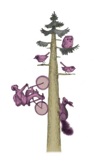 L'alterTour, un tour de l'Ain à vélo pour un meilleur avenir social et écologique