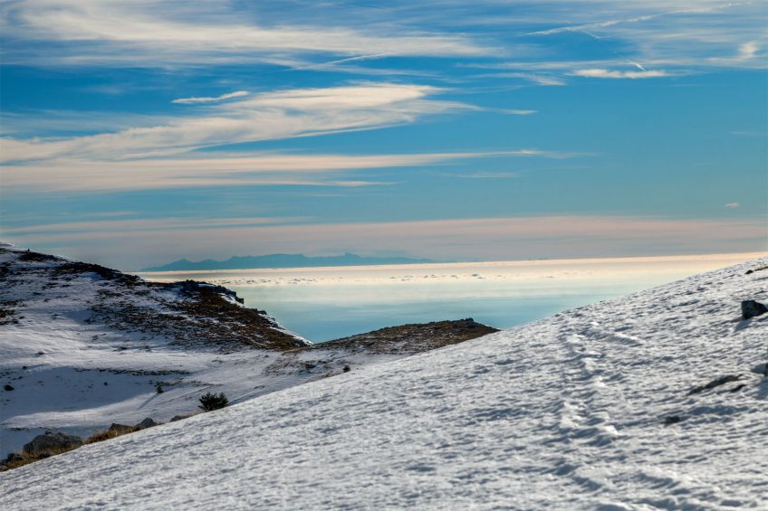 Quel est l'état de la population de gypaète barbu en Corse ?