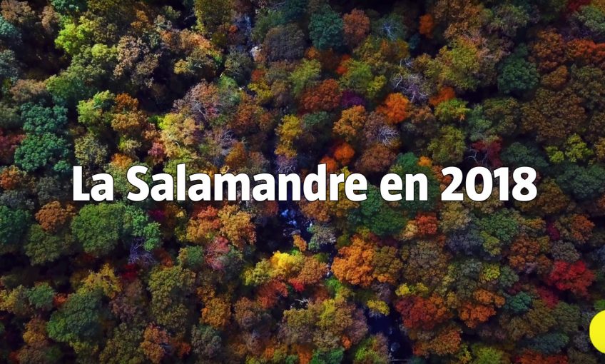 Lire la vidéo