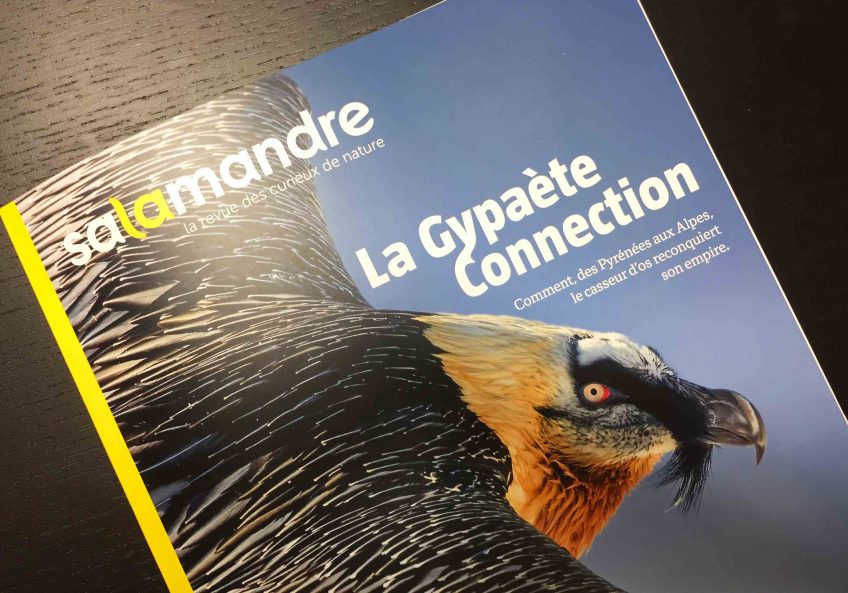 La Gypaète Connection La Salamandre n° 249