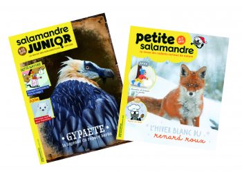 Nouveaux numéros jeunesse de la Salamandre