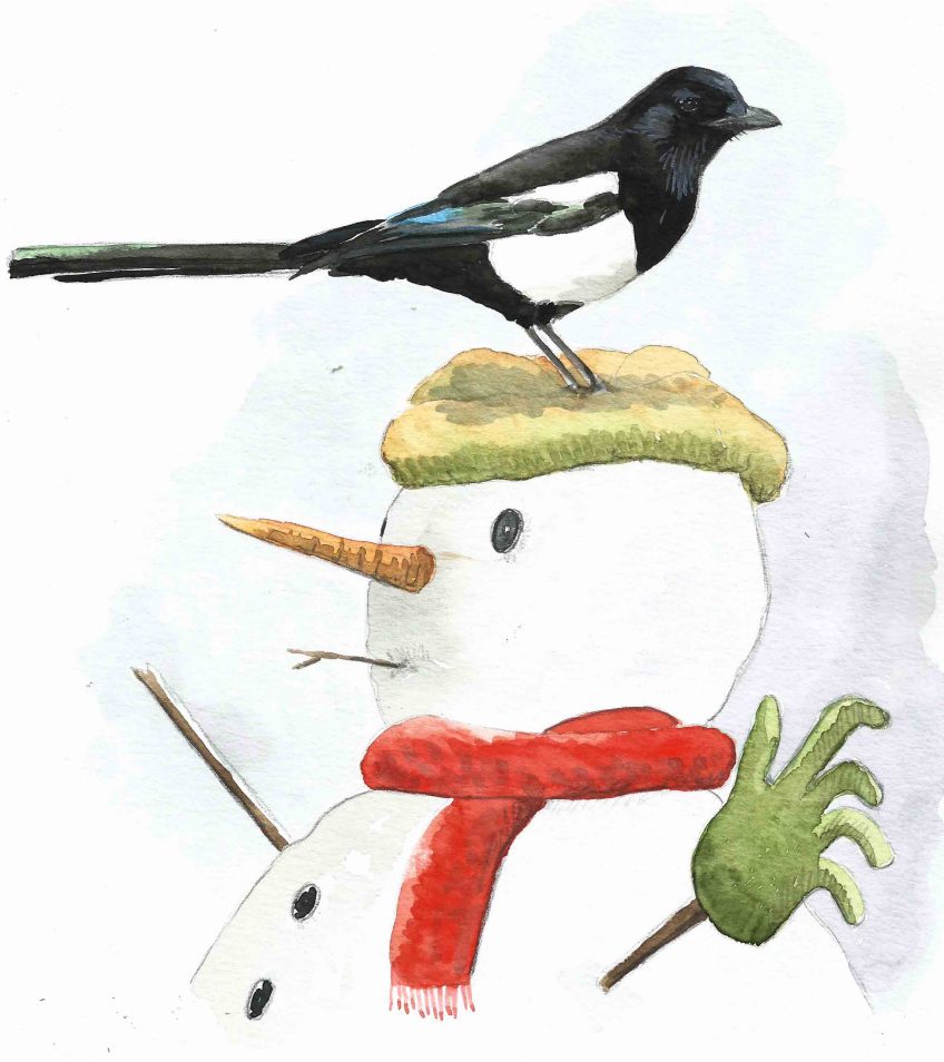 Le gant disparu à Noël, la pie accusée