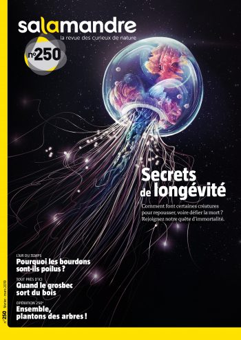 Couverture de La Salamandre n°250