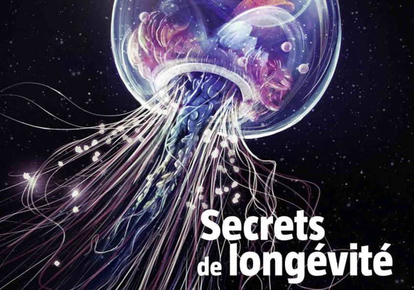 Salamandre 250 secrets de longévité