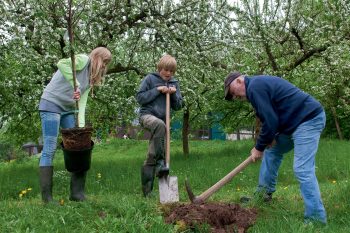 La Salamandre plante 250 arbres et vous encourage à faire de même