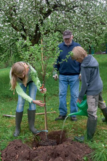 La Salamandre plante 250 arbres et vous encourage à faire de même