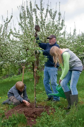 La Salamandre plante 250 arbres et vous encourage à faire de même
